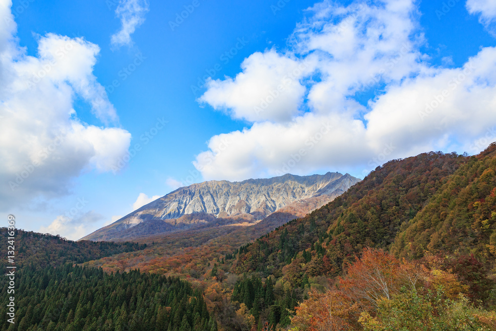 Fototapeta premium 大山の紅葉 -鍵掛峠からのブナの森と南壁-