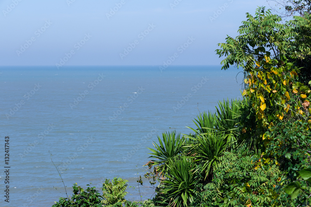 Lush jungle greenery near the ocean with single wave in the dist
