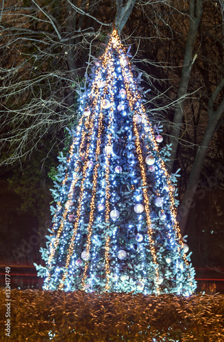 Colored lighted Christmas tree with blue ornaments, outdoor night time