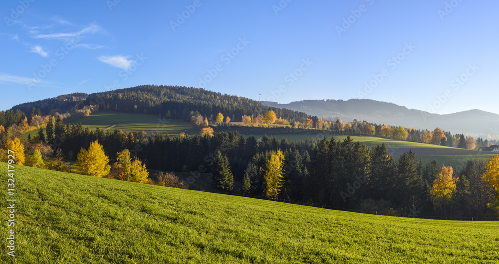 Vorau Puchegg, Styria, Austria, Vorau-Puchegg