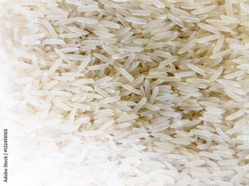 natural background of jasmin rice