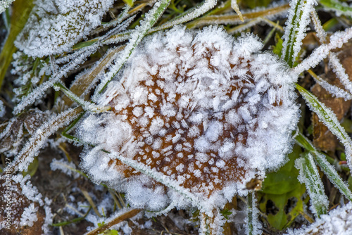 Vorau Puchegg, Styria, Austria, Vorau-Puchegg photo