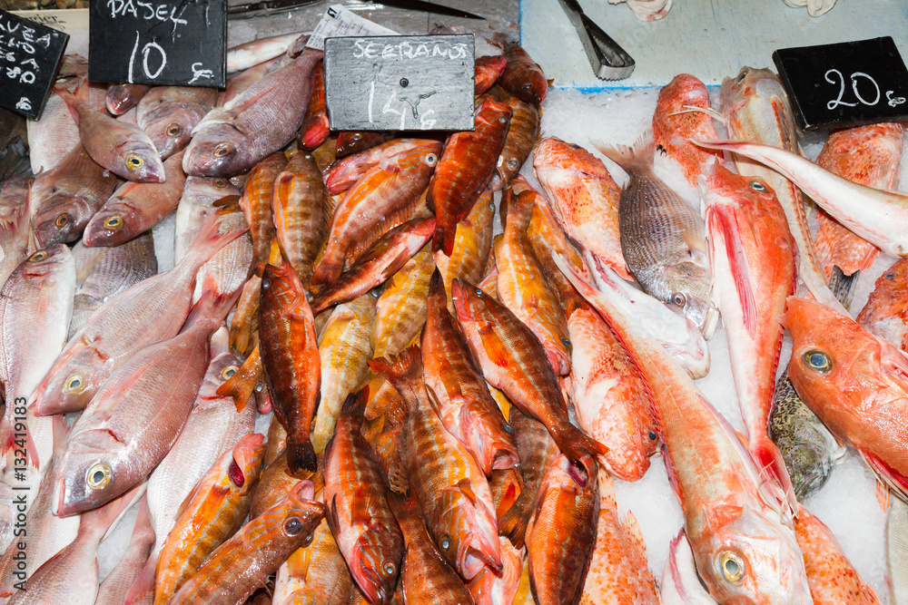 Fresh fish variety for sale at seafood market, Palma, Mallorca