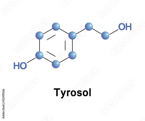 Tyrosol is a phenylethanoid, a derivative of phenethyl alcohol. It is a natural phenolic antioxidant. Structure model of molecule made in vector.
