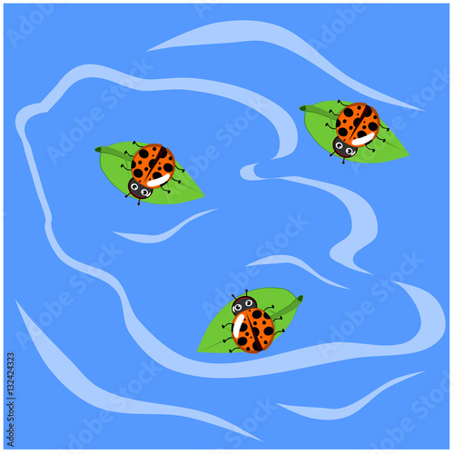 Ladybug on leaf and on the river