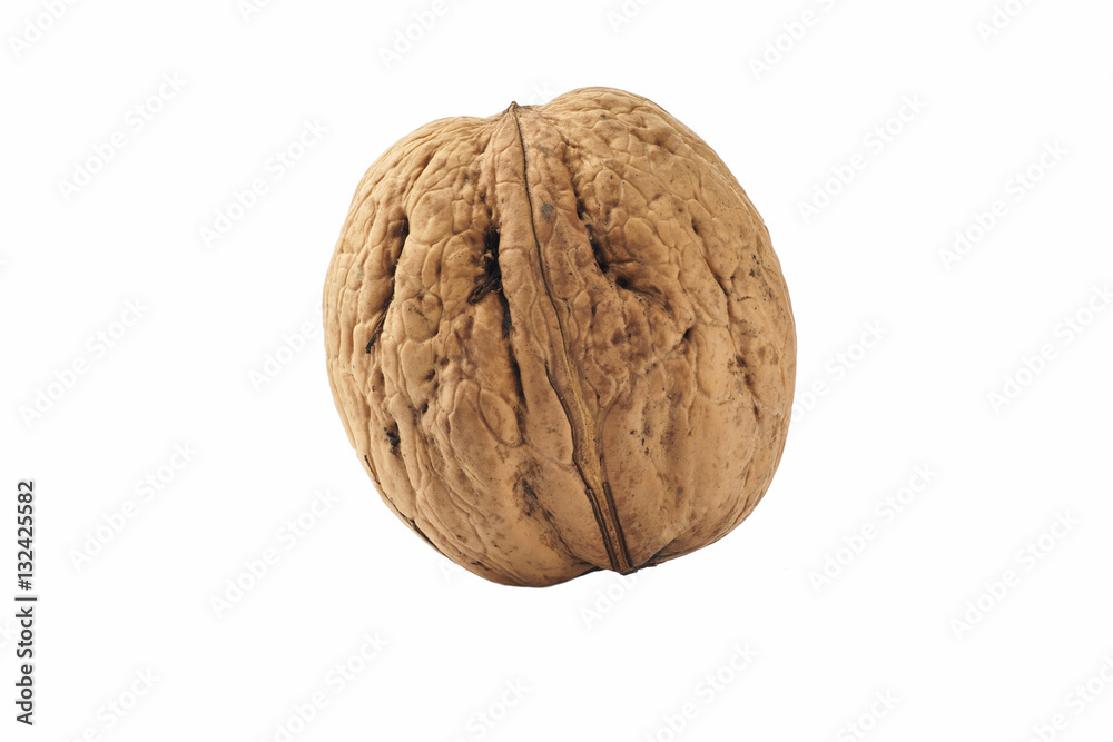 One walnut isolated on a white background One walnut isolated on a white background