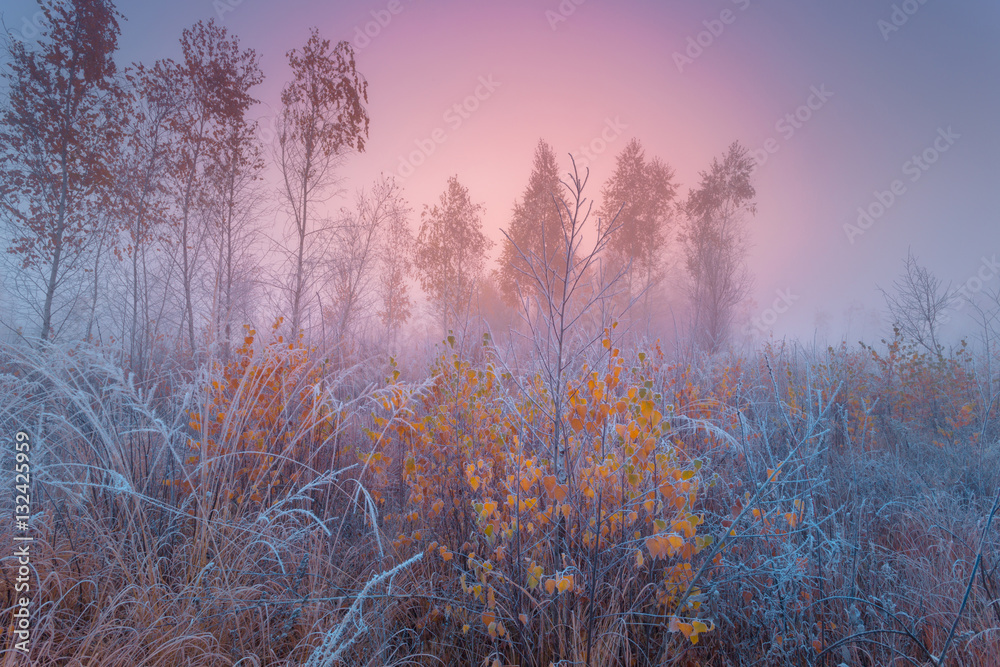 Fototapeta premium Frosted autumn landscape at dawn.
