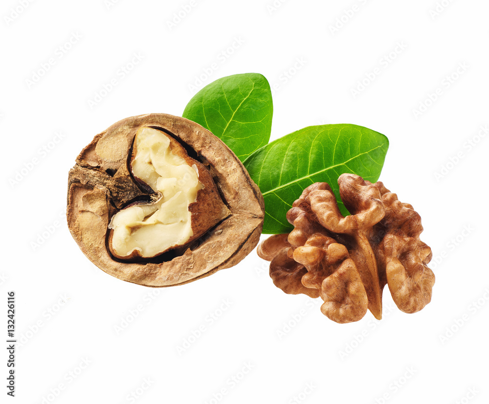 Obraz premium Single half with green leaf of walnut