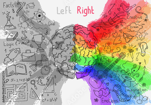 Concept of the human brain