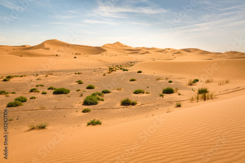 Southwestern part of the Sahara desert in Morocco