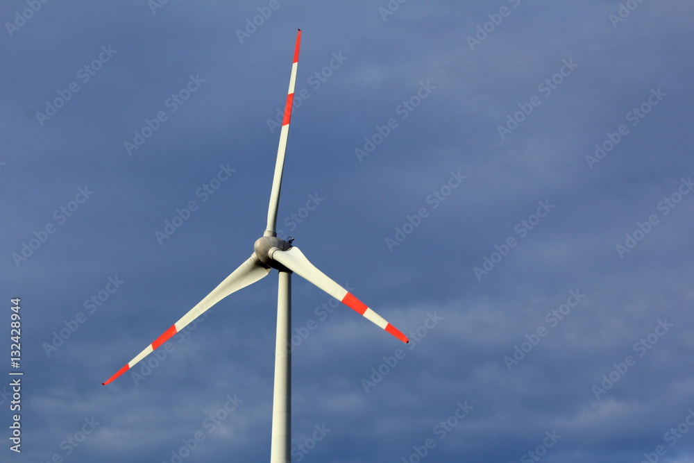 rotor of a three bladed wind turbine