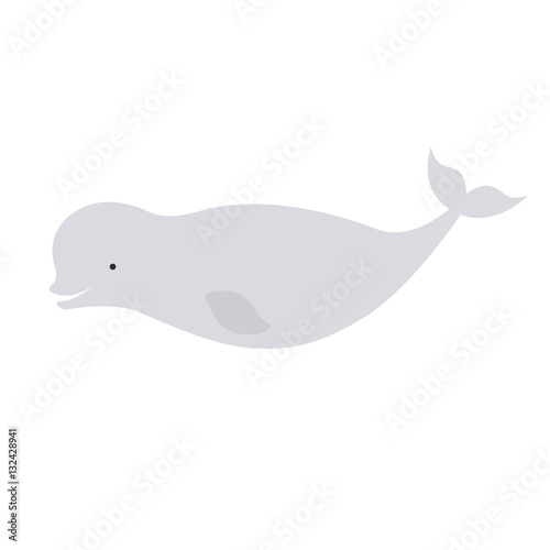 Vector beautiful beluga polar dolphin white whale