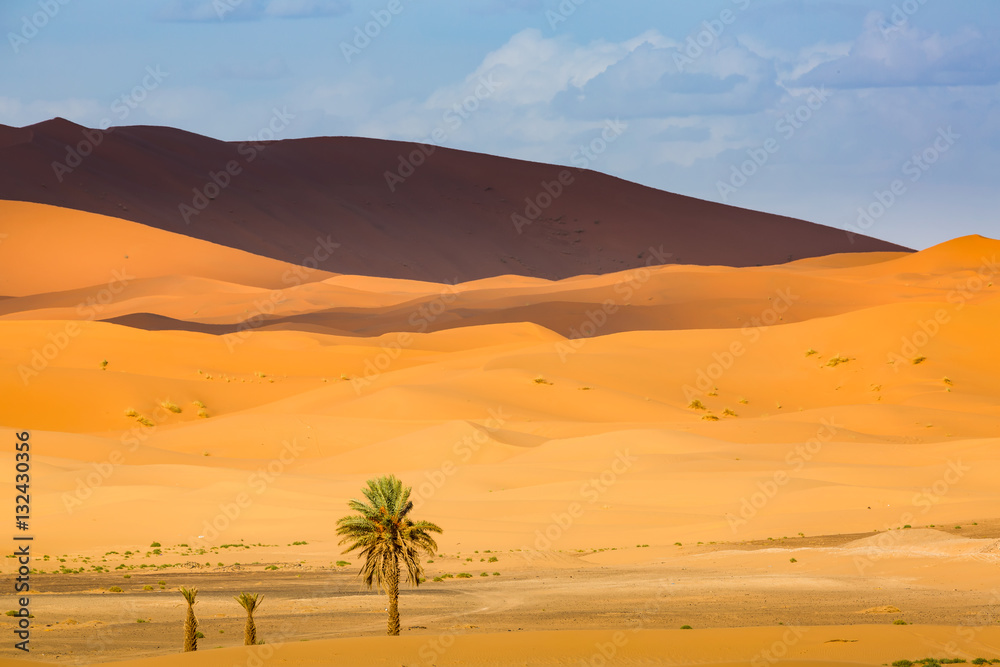 Southwestern part of the Sahara desert in Morocco