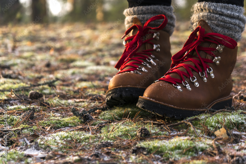 person is walking in brown leather boots with red laces in the forest on  the land with green moss and dried needles covered with frost and  snowflakes Stock Photo | Adobe Stock