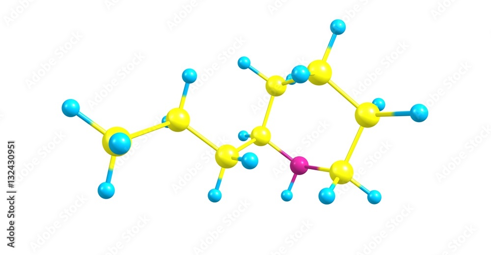 Coniine molecular structure isolated on white Coniine molecular structure isolated on white