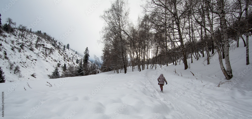 child in snowy mountains with fir trees