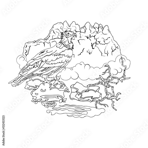 The vulture of the island Socotra in the stone mountains