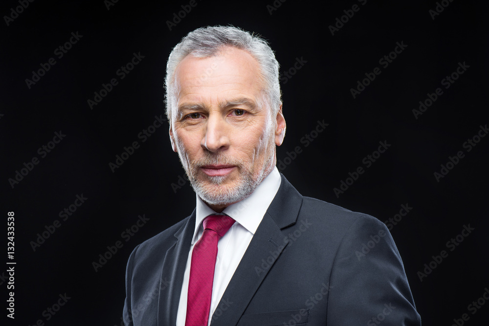 Handsome mature businessman Handsome mature businessman