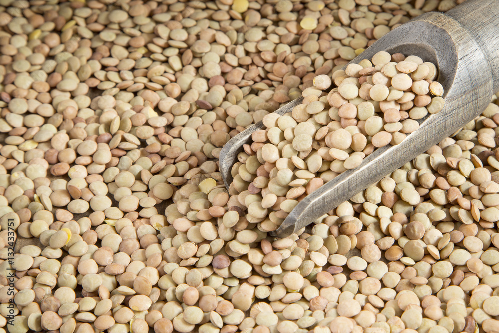 Organic lentils in the wooden spoon (Lens culinaris) Organic lentils in the wooden spoon (Lens culinaris)