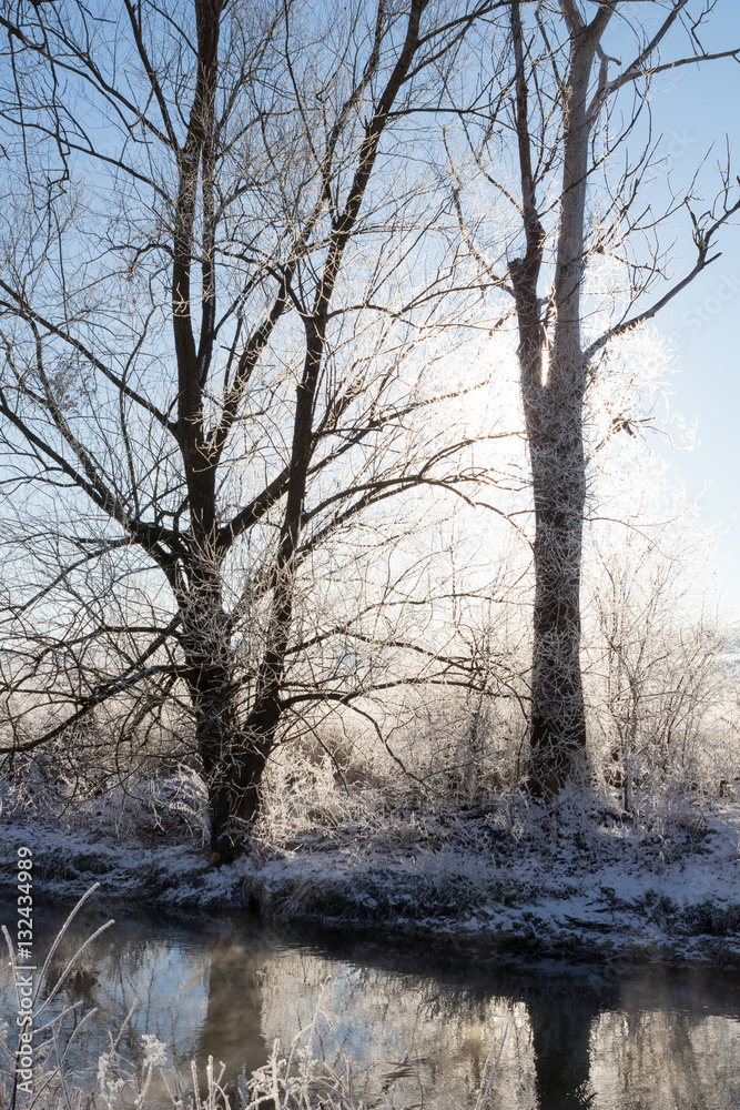 Fototapeta premium The Brenz river in winter