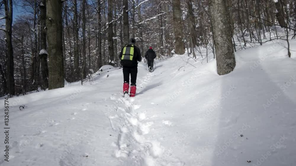 Back View of Hikers on the Trail Inside a Forest Covered in Heavy Snow