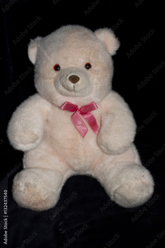 Fototapeta premium Stary Miś Odizolowywający