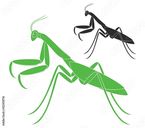 Mantis