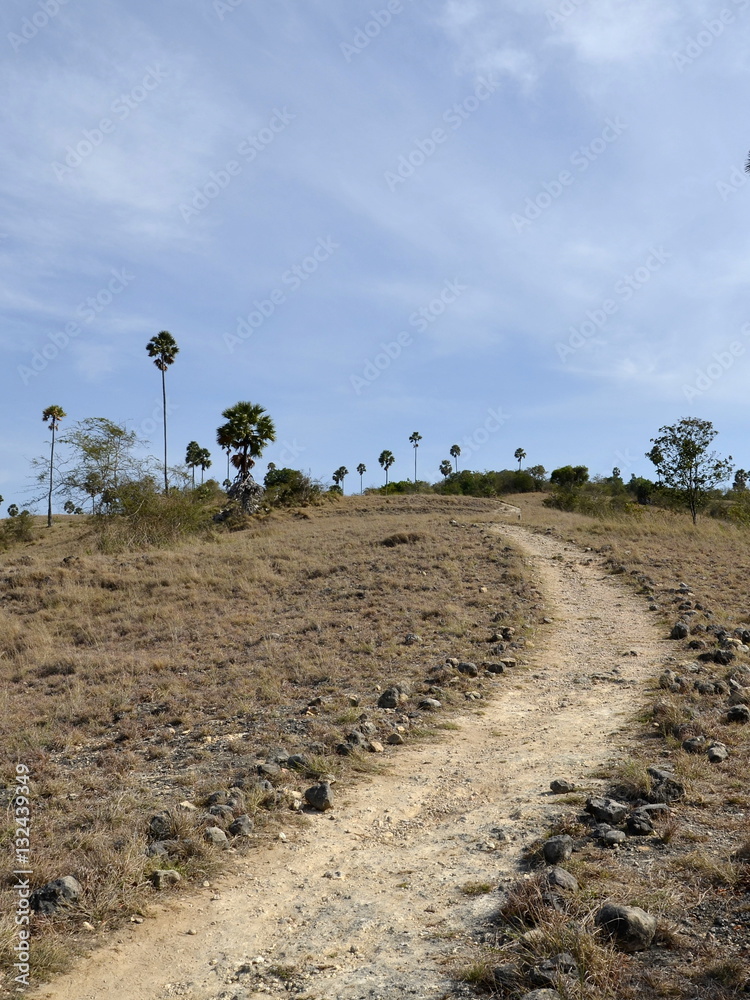 Fototapeta premium A stony path leads to the top of the hill.