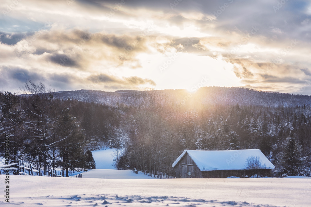 Paysage hivernal Paysage hivernal