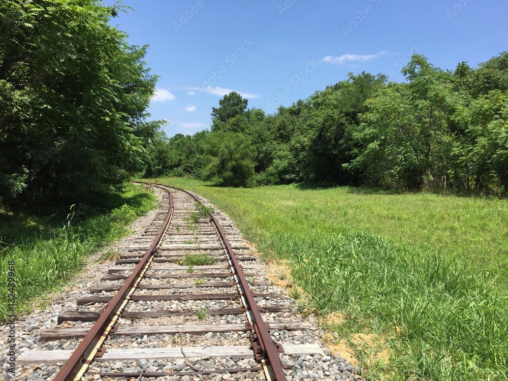 Obraz premium Abandoned Railroad running through Woodlands
