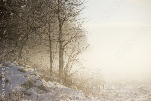 Winter Fog