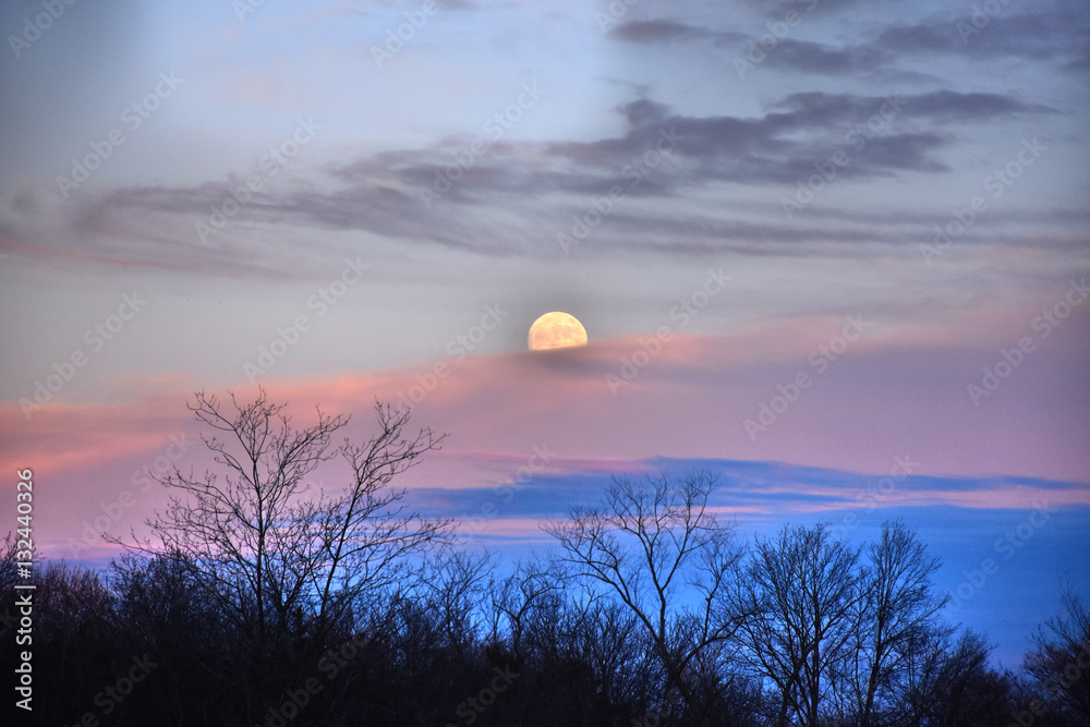 Obraz premium Winter Moon