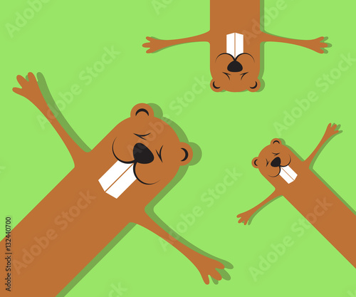 Groundhogs lying on grass spring background