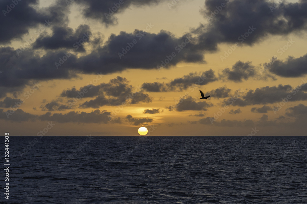 Pelican flying over the ocean at sunset