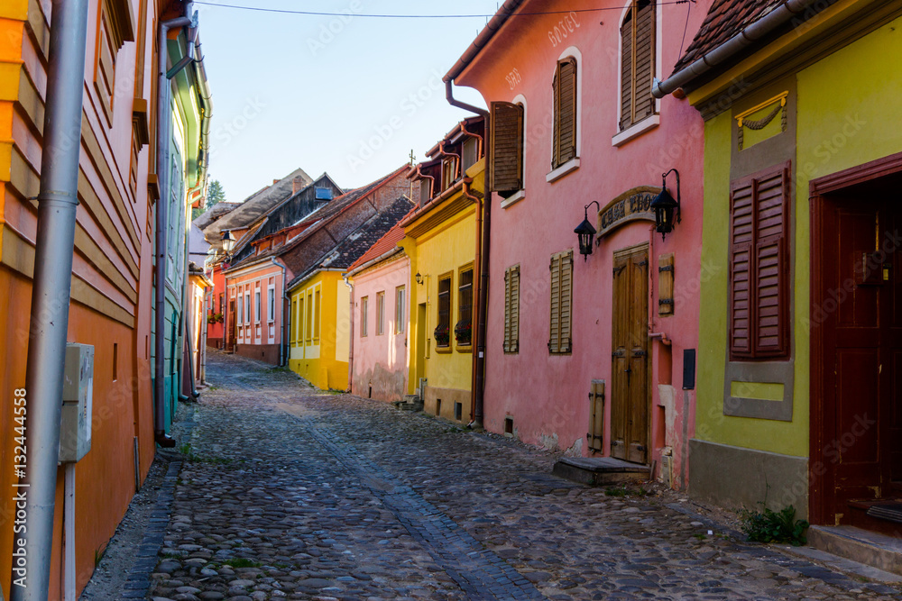 Obraz premium Sighisoara buildings