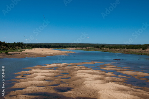 Dry river with hyppos in Kruger National Park, South Africa