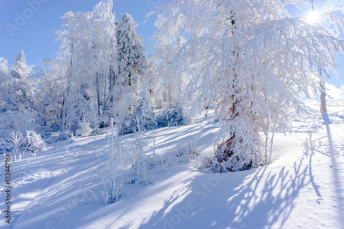Amazing winter © Ivanica