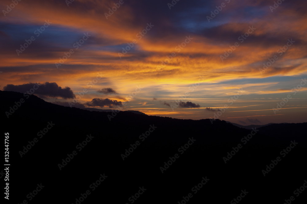 custom made wallpaper toronto digitalearly morning light