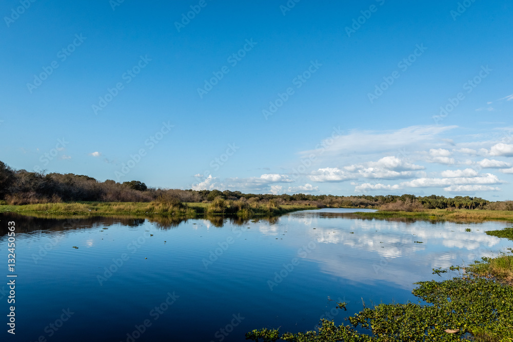A Florida marsh with blue skies and clouds reflected in the water.
