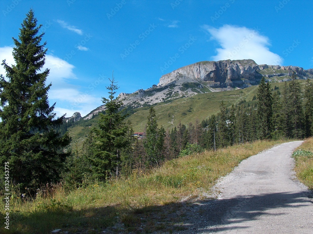 Fototapeta premium Berge im Kleinwalsertal