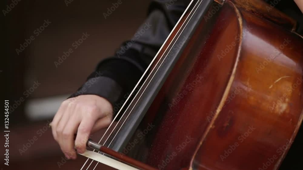 musician girl playing with cello violoncello musician girl playing with cello violoncello