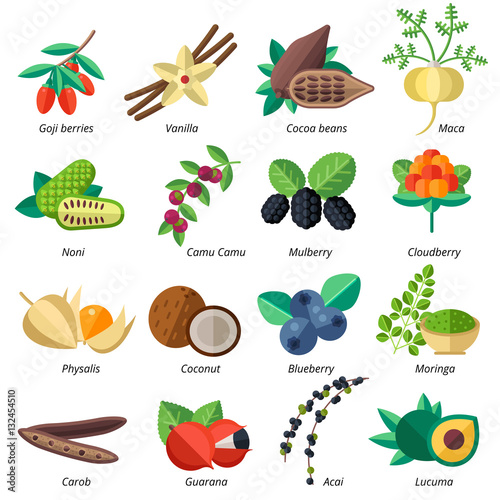 Set of superfood fruits, vegetables, berries, nuts and seeds. Ve