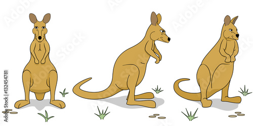Wallaby figures in different positions