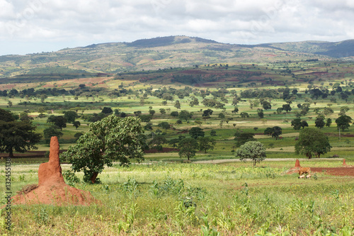 Landschaft nahe Yabelo, Sidama, Äthiopien, Afrika