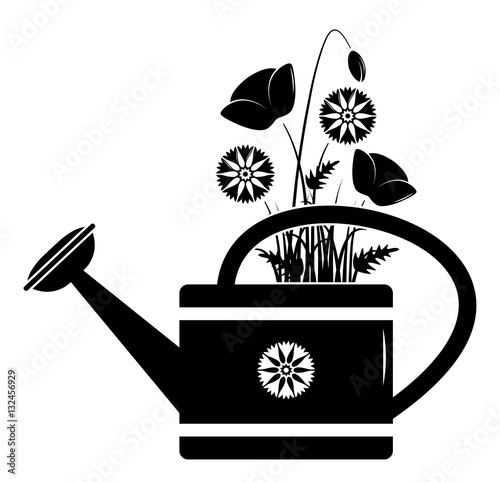 meadow flowers in watering can