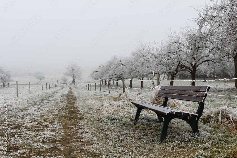 bench in the frozen field