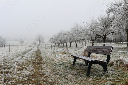 bench in the frozen field