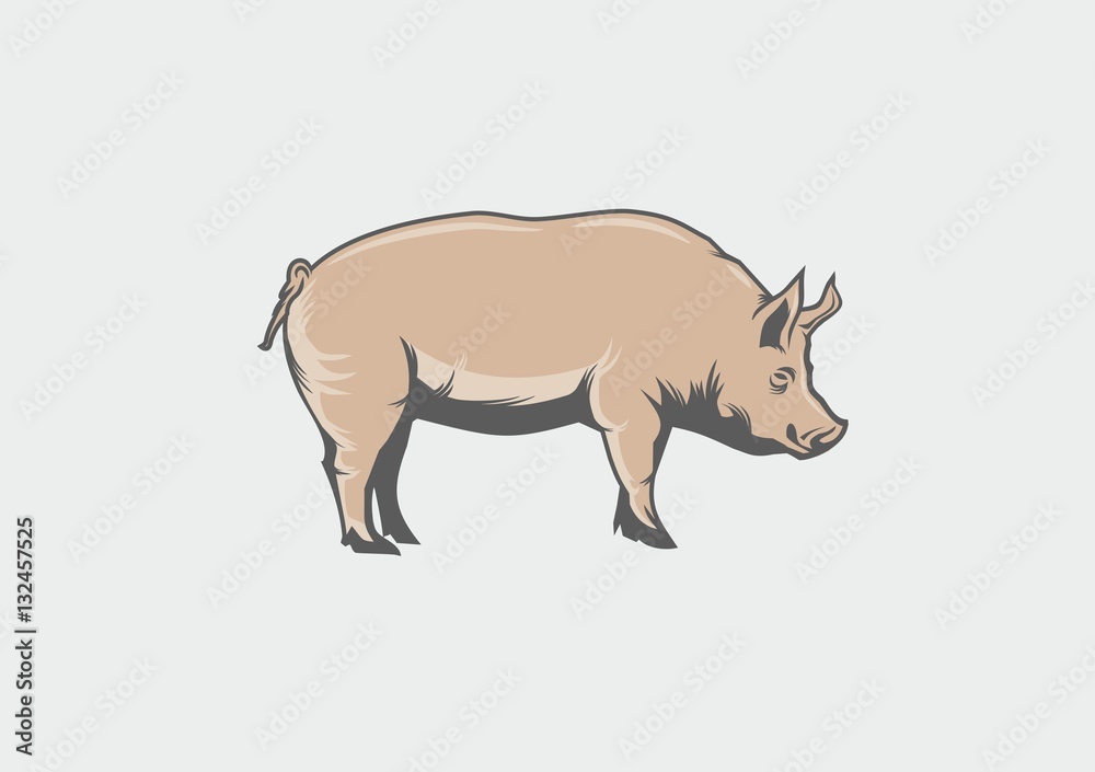 Pig