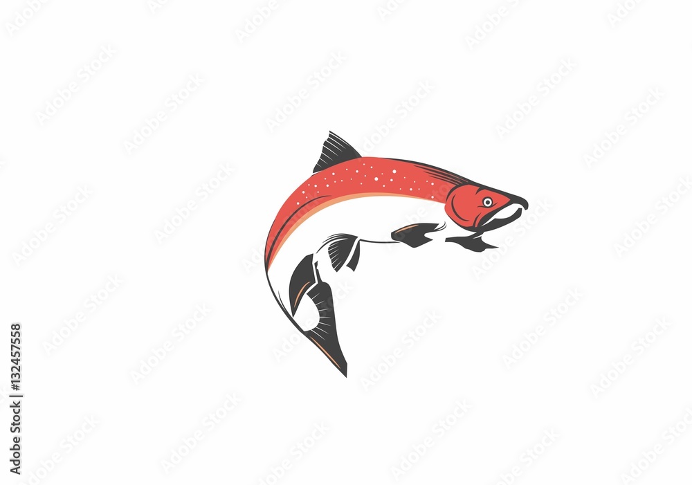 Obraz premium Salmon