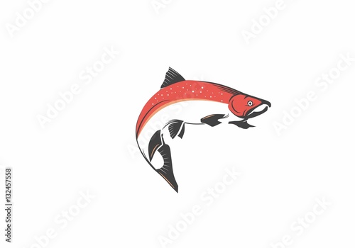 Salmon